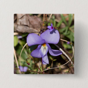 Birds-Foot Violet w/ Bluets 15 Cm Square Badge