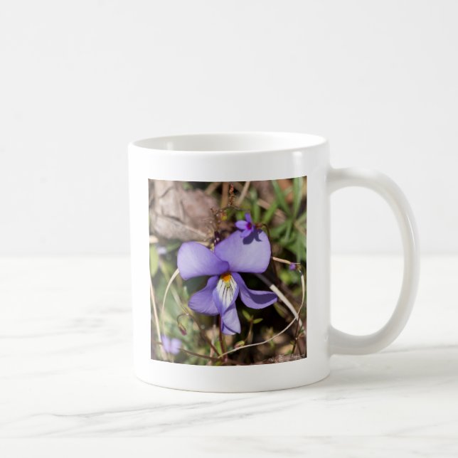 Birds-Foot Violet w/ Bluets Coffee Mug (Right)