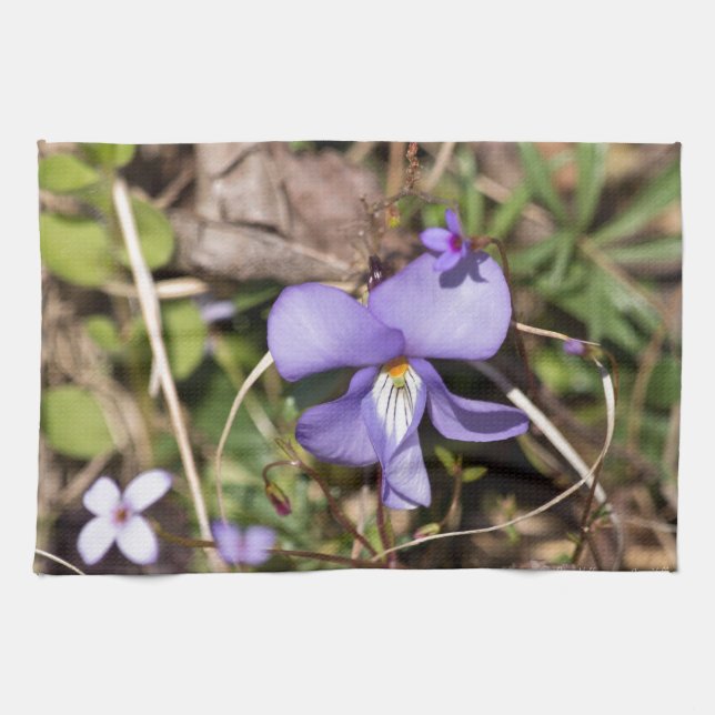 Birds-Foot Violet w/ Bluets Tea Towel (Horizontal)