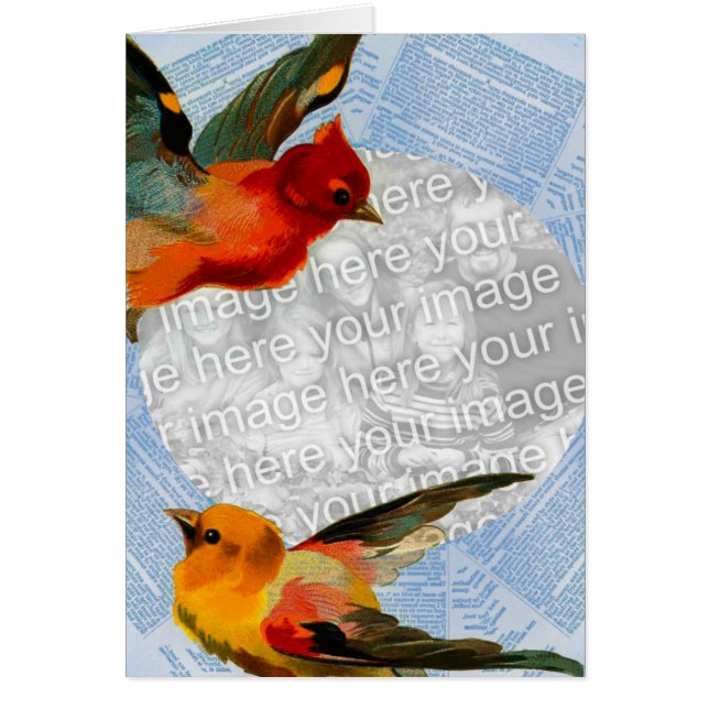 Birds Frame, Your Own Photos And Text Customisable (Front)
