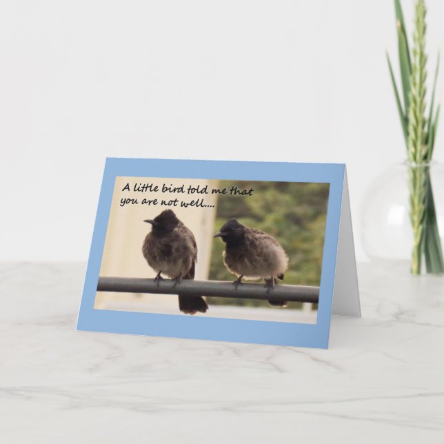 Birds get well card (Front)