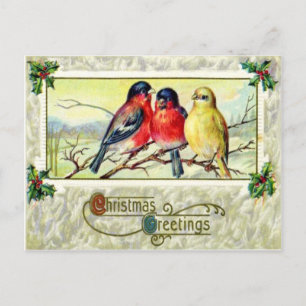 Birds & Holly Postcard