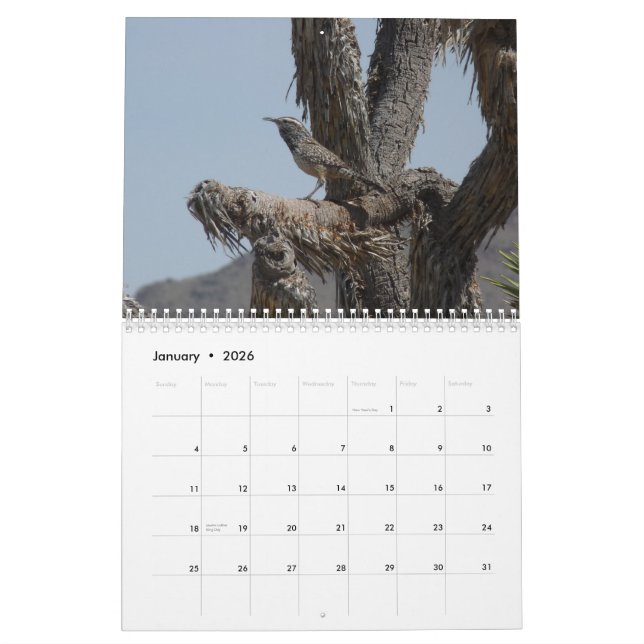 Birds in Arizona Calendar (Jan 2026)