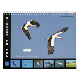 Birds in flight 12 month calendar