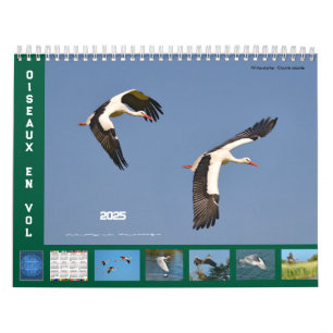 Birds in flight 12 month calendar