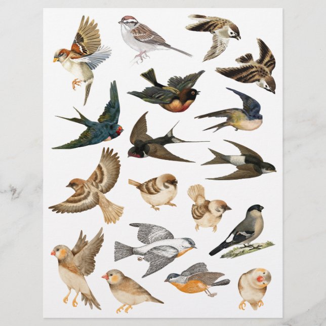 Birds in Flight and Rest Fussy Cuts (Front)