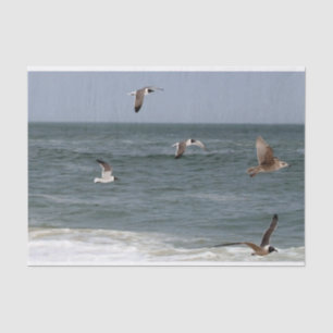 Birds In Flight by Shirley Taylor Tissue Paper