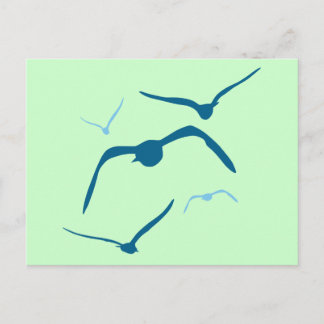 Birds in Flight Postcard