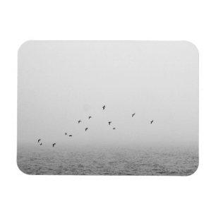 Birds in fog magnet