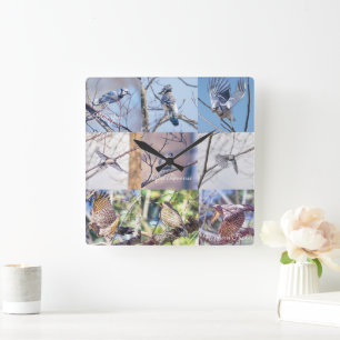 Birds in Motion Clock