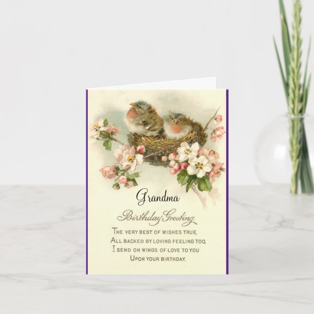 Birds In Nest Birthday Greeting Card (Front)
