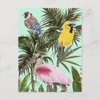 Birds in Paradise