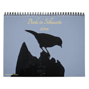Birds in Silhouette Nature Photography 2026 Photo Calendar