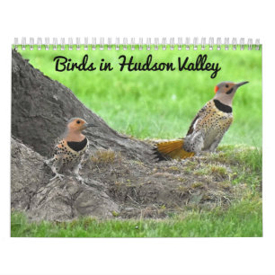 Birds in the Hudson Valley  Calendar