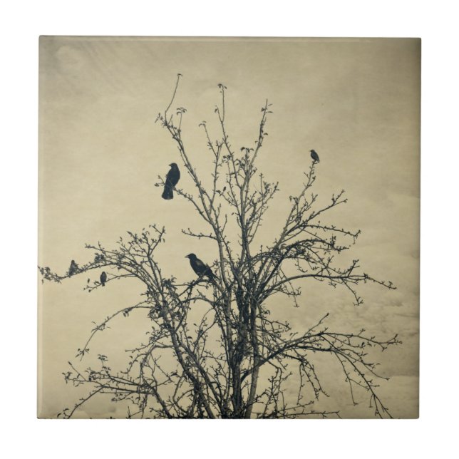 Birds in the tree   -    ceramic tile (Front)