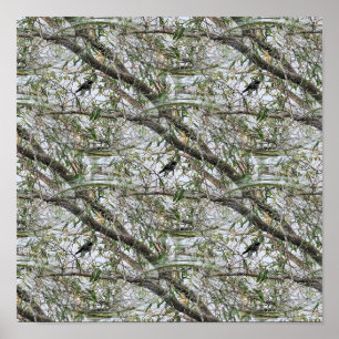 Birds in the trees... poster