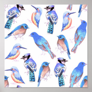 Birds in tints and shades of blue-bird lovers poster