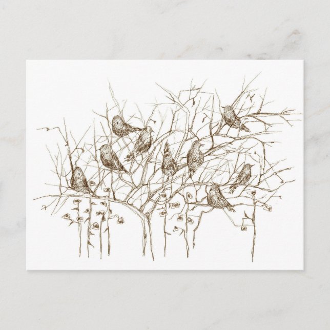 Birds in Tree Sepia Pen and Ink Sketch Postcard (Front)