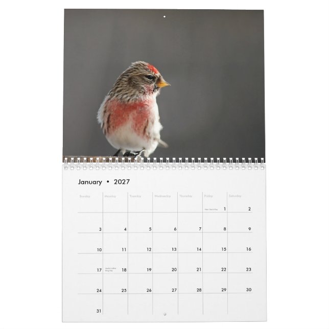 Birds in Winter 2015 Calendar (Jan 2027)
