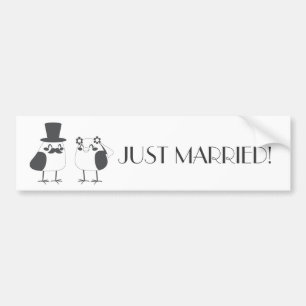 Birds Love Wedding Cake Bumper Sticker
