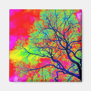 Birds Magnet