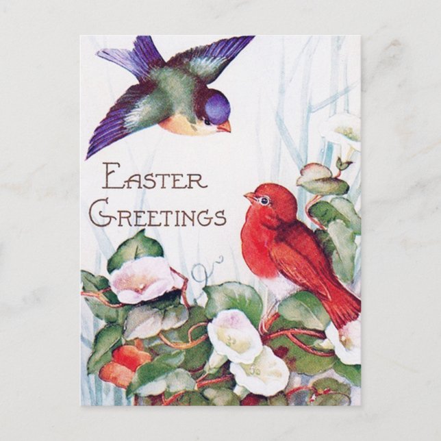 Birds Morning Glory Retro Easter Postcard (Front)