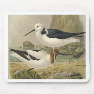 Birds Mouse Pad