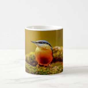 Birds Mug - Nuthatch