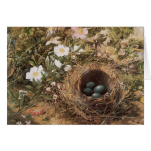 Bird's Nest and Dog Roses by John William Hill