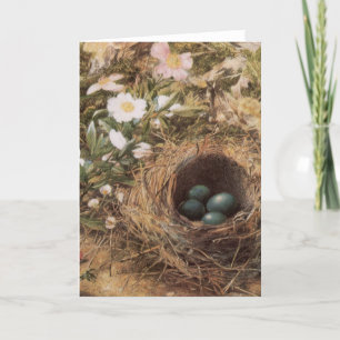 Bird's Nest and Dog Roses by John William Hill Card