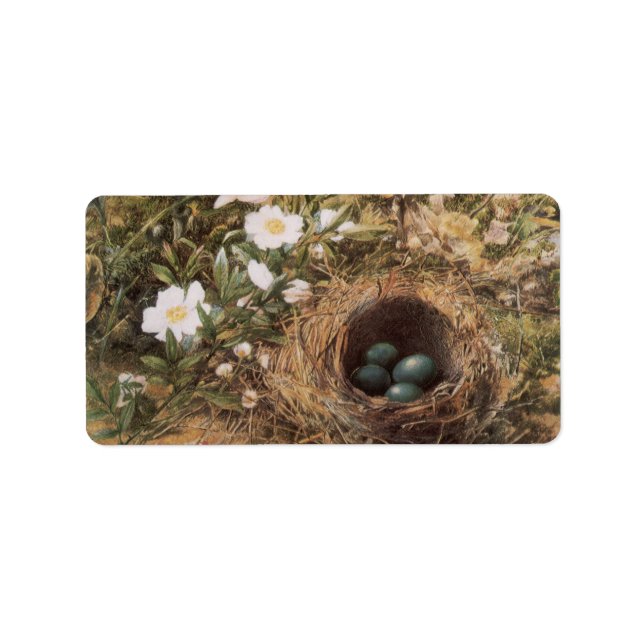 Bird's Nest and Dog Roses by John William Hill Label (Front)