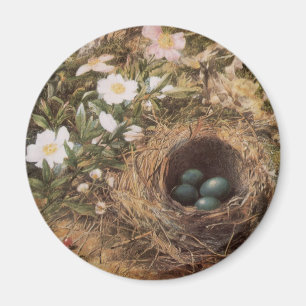 Bird's Nest and Dog Roses by John William Hill Magnet