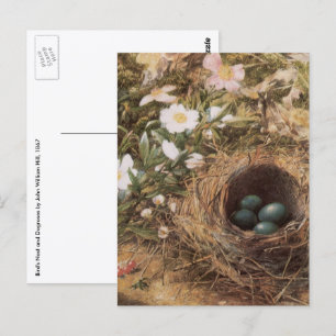 Bird's Nest and Dog Roses by John William Hill Postcard