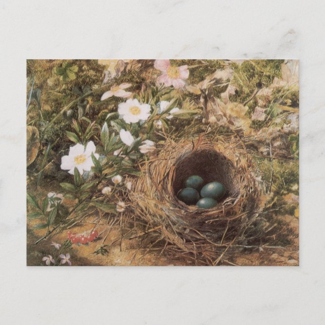 Bird's Nest and Dog Roses by John William Hill Postcard (Front)