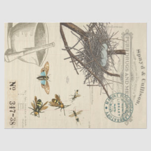 Birds Nest Bee Apothecary Decoupage Tissue Paper
