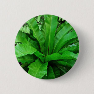 Bird's Nest Fern 6 Cm Round Badge