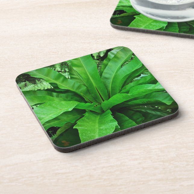 Bird's Nest Fern Coaster (Left Side)