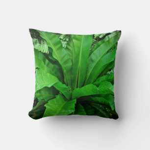 Bird's Nest Fern Cushion
