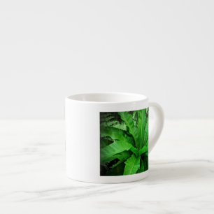 Bird's Nest Fern Espresso Cup