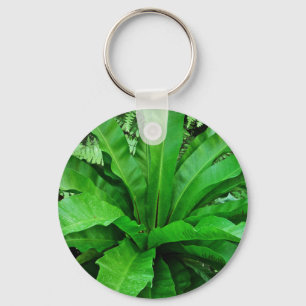 Bird's Nest Fern Key Ring