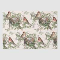 Birds Nest Leaves Vintage Redpoll Songbird Ivory