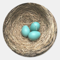 Birds Nest with Blue Eggs