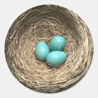 Birds Nest with Blue Eggs Classic Round Sticker