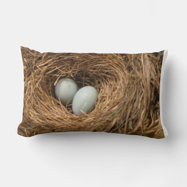Bird's Nest with Robin's Eggs Pillow (Front)