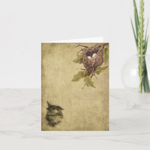 Birds & Nests- Prim Lil Note Cards
