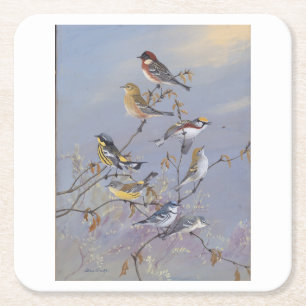 Birds no5 square paper coaster