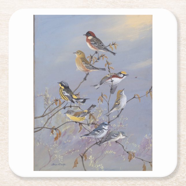Birds no5  square paper coaster (Front)