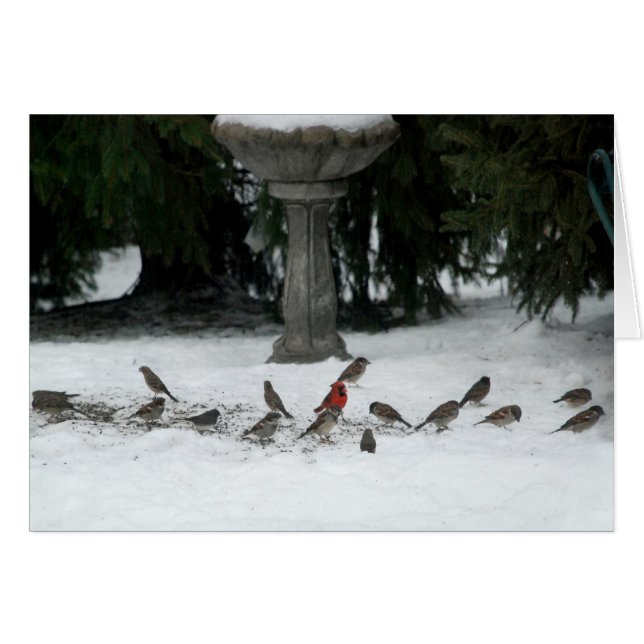 Birds of a Feather (Front Horizontal)