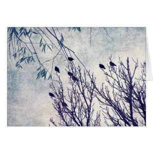 Birds of a Feather 2