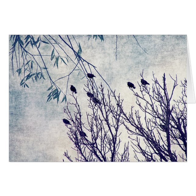Birds of a Feather 2 (Front Horizontal)